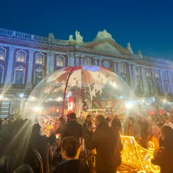 Capitole de Toulouse - Toulouse