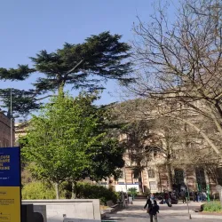 Capitole de Toulouse - Toulouse