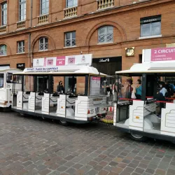 Capitole de Toulouse - Toulouse
