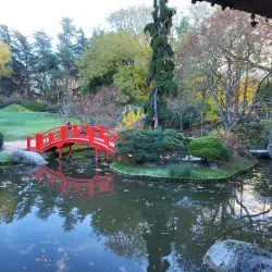 Jardin Japonais - Toulouse