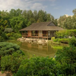 Jardin Japonais - Toulouse