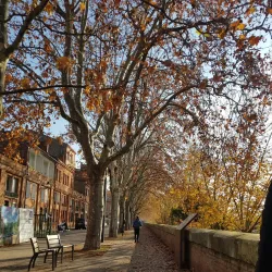 Pont Neuf - Toulouse