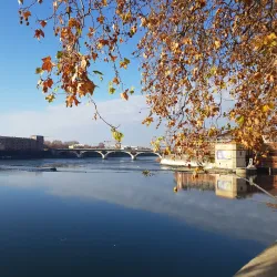 Pont Neuf - Toulouse