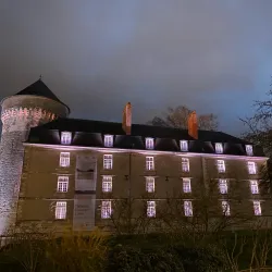 Château de Tours - Tours