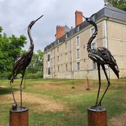Château de Tours - Tours