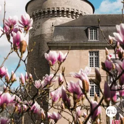 Château de Tours - Tours