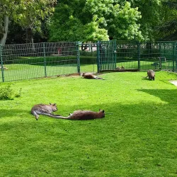Jardin Botanique de Tours - Tours
