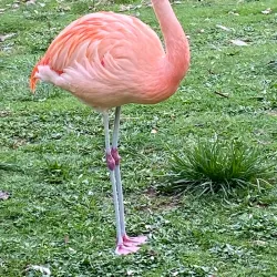 Jardin Botanique de Tours - Tours