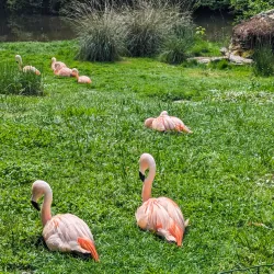 Jardin Botanique de Tours - Tours