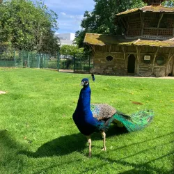 Jardin Botanique de Tours - Tours