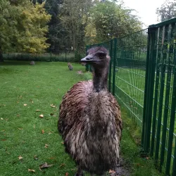Jardin Botanique de Tours - Tours