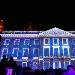 Musée des Beaux-Arts de Tours - Tours