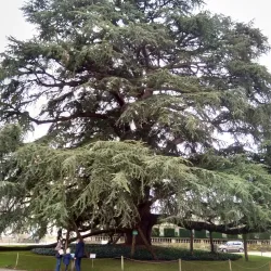Musée des Beaux-Arts de Tours - Tours