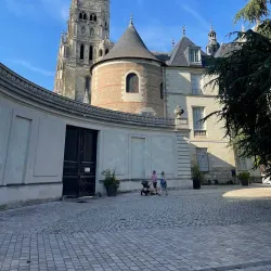 Musée des Beaux-Arts de Tours - Tours