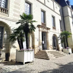 Musée des Beaux-Arts de Tours - Tours