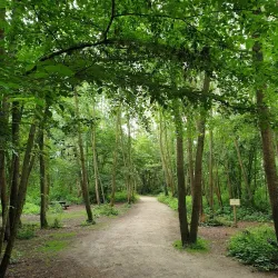 Parc des Moulins - Troyes