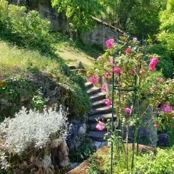 Jardin des Trinitaires - Valence