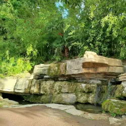 Parc Jouvet - Valence