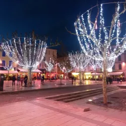 Valence Market (Marché de Valence) - Valence