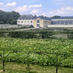 The Potager du Roi (King's Kitchen Garden) - Versailles