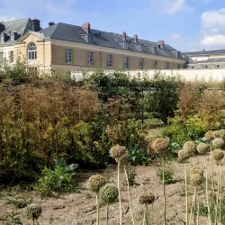 The Potager du Roi (King's Kitchen Garden) - Versailles