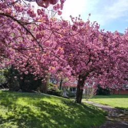 Allier River Promenade - Vichy