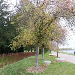 Allier River Promenade - Vichy