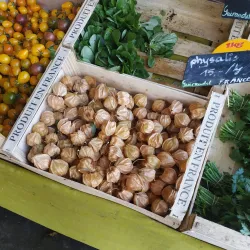 Marché de Villeneuve-sur-Lot - Villeneuve-sur-Lot