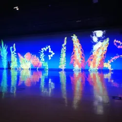 Musée de Gajac - Villeneuve-sur-Lot