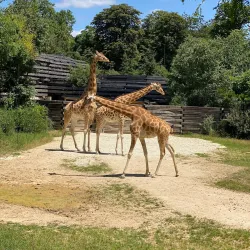 Bois de Vincennes - Vincennes