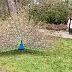 Bois de Vincennes - Vincennes