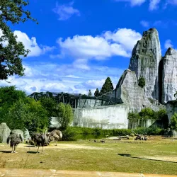 Bois de Vincennes - Vincennes