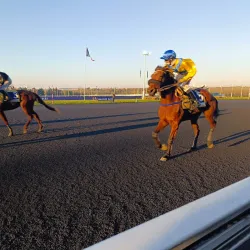 Hippodrome de Vincennes - Vincennes