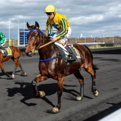 Hippodrome de Vincennes - Vincennes