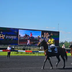 Hippodrome de Vincennes - Vincennes