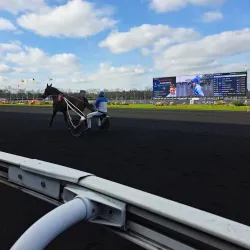 Hippodrome de Vincennes - Vincennes
