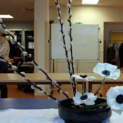 Le Théâtre de Vincennes - Vincennes