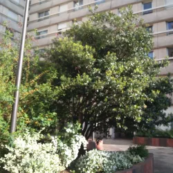 Le Théâtre de Vincennes - Vincennes