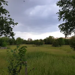 Parc des Beaumonts - Vincennes