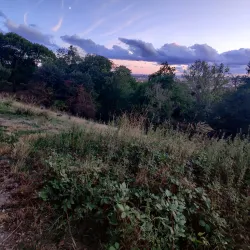 Parc des Beaumonts - Vincennes