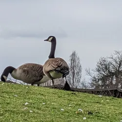 Parc Floral de Paris - Vincennes