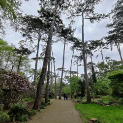 Parc Floral de Paris - Vincennes