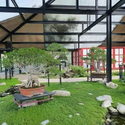 Parc Floral de Paris - Vincennes