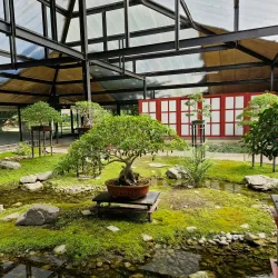 Parc Floral de Paris - Vincennes