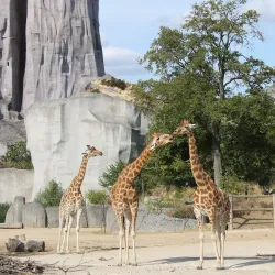 Vincennes Zoo (Parc Zoologique de Paris) - Vincennes
