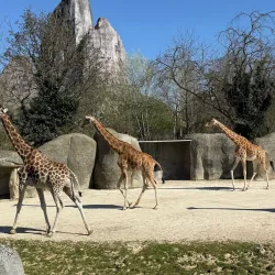 Vincennes Zoo (Parc Zoologique de Paris) - Vincennes
