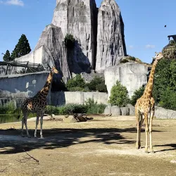 Vincennes Zoo (Parc Zoologique de Paris) - Vincennes