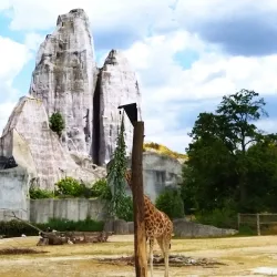 Vincennes Zoo (Parc Zoologique de Paris) - Vincennes