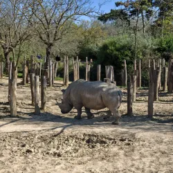 Vincennes Zoo (Parc Zoologique de Paris) - Vincennes
