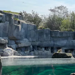 Vincennes Zoo (Parc Zoologique de Paris) - Vincennes